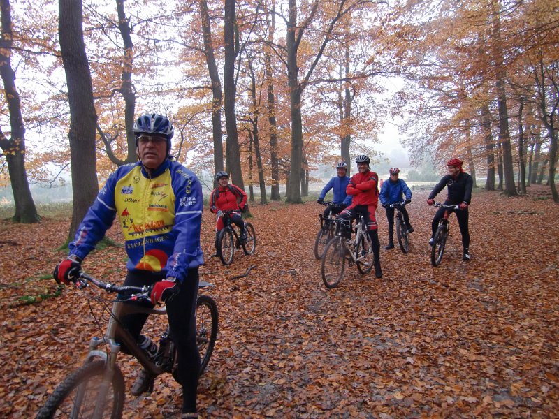 Wilseder Berg 1 2010 073